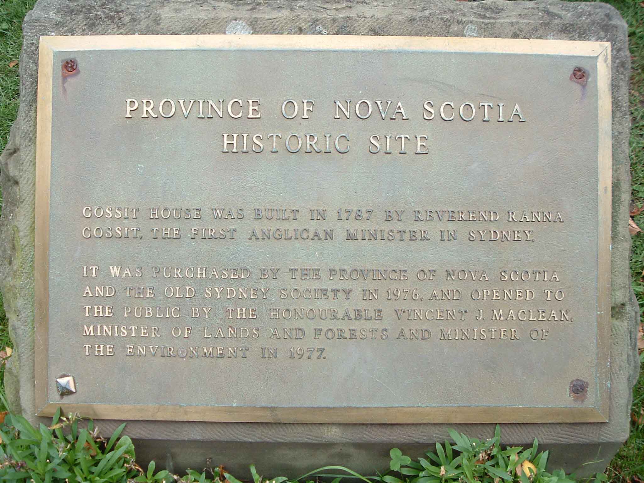 plaque